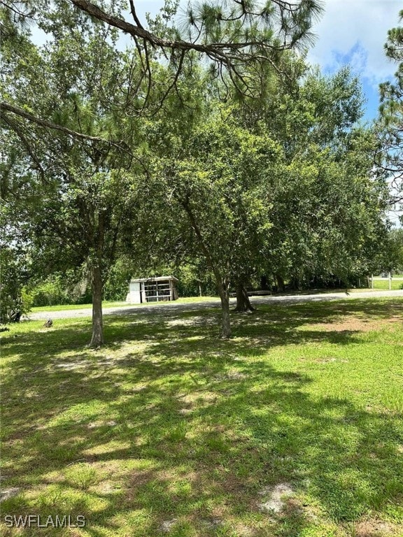 View of grassy yard