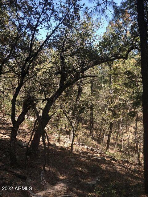 Parcel 1 N Pine Hollow Trail unit 2, Pine, AZ 85544 - photo 7