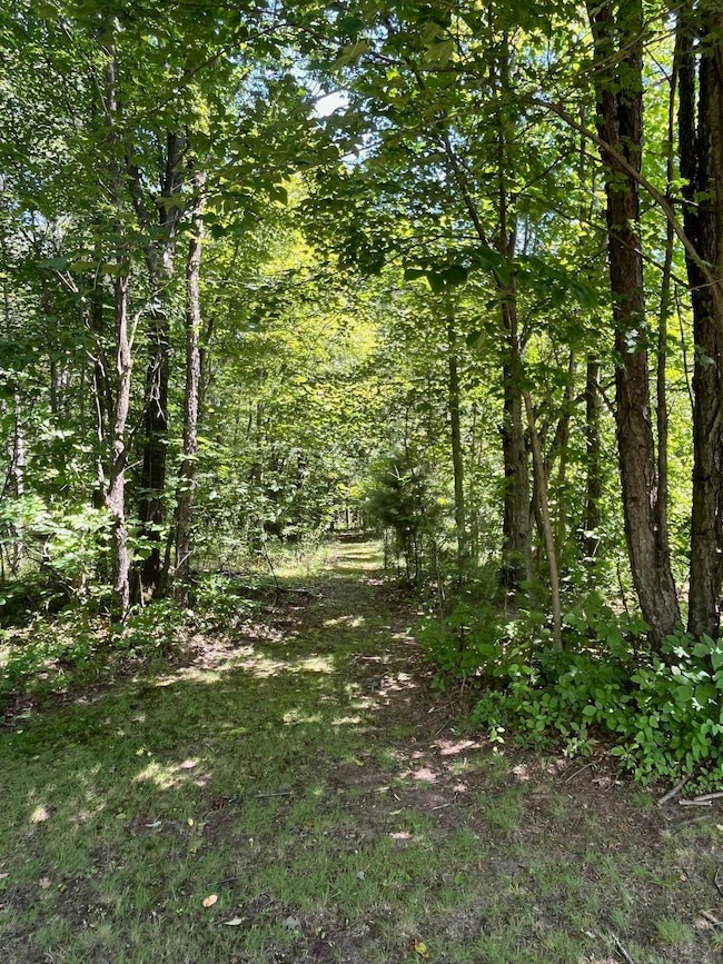 2535 S River Rd, Beaverton, MI 48612 - photo 6