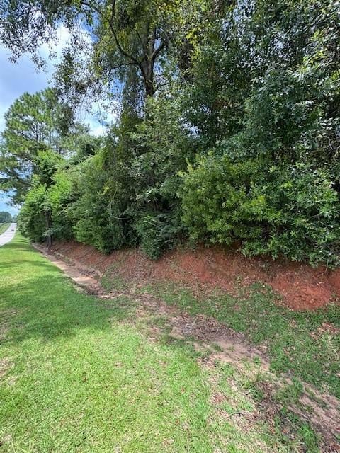 3919 Firetower Rd, Semmes, AL 36575 - photo 5