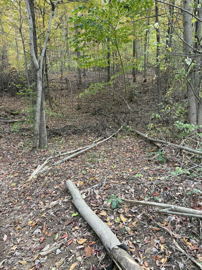 Pine Grove Ch Rd, Vanceburg, KY 41179 - photo 3