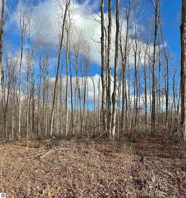 TBD Blackberry Ln, Star Township, MI 49730 - photo 2