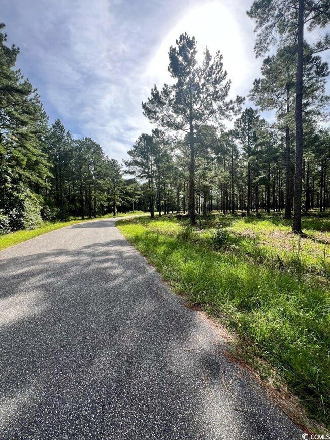 TBD Ashley Cir unit Lot 5, Conway, SC 29526 - photo 3