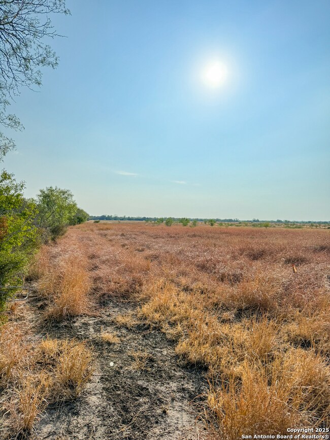 6870 County Road 329 (Tract 2-5), Jourdanton, TX 78026 - photo 7