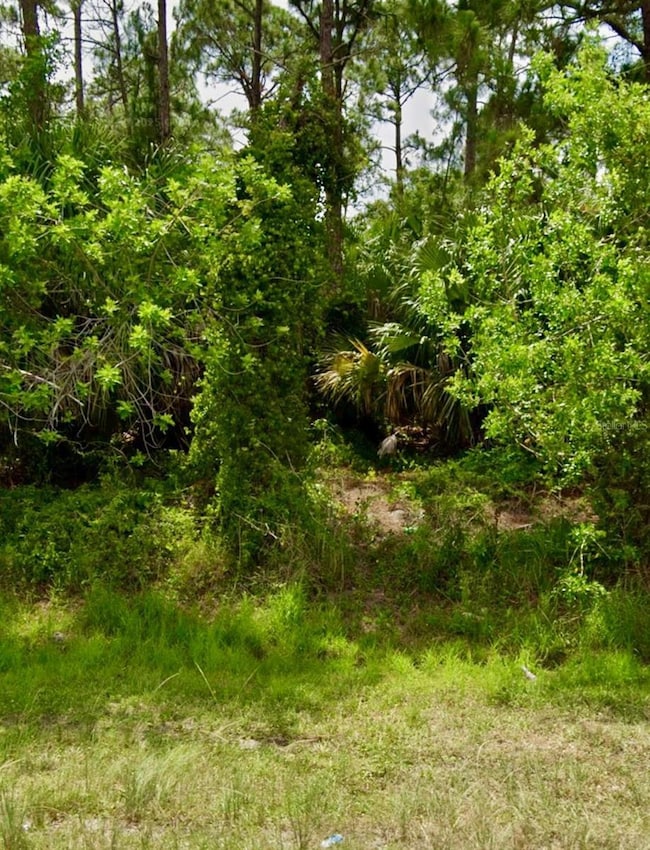 2956 SW Moody Terrace, Port St. Lucie, FL 34953 - photo 5