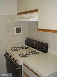 3601 5th St S unit 308, Arlington, VA 22204 - photo 4