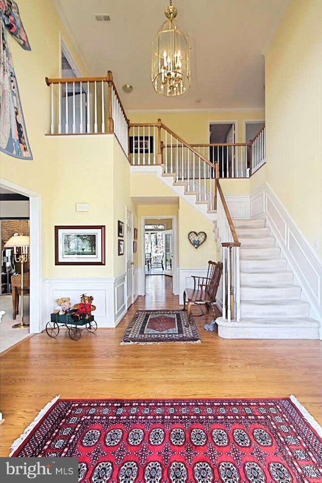 7904 Scott Ct, Springfield, VA 22153 - photo 4