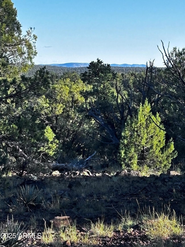 0 N Soaring Hawk Rd unit 498, Seligman, AZ 86337 - photo 6