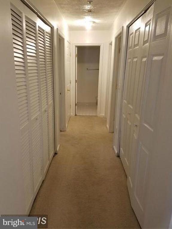 6021 64th Ave, Riverdale, MD 20737 - photo 6