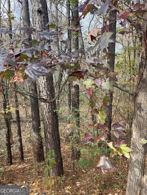 0 Old Bill Cook Rd unit 10419455, Atlanta, GA 30349 - photo 4