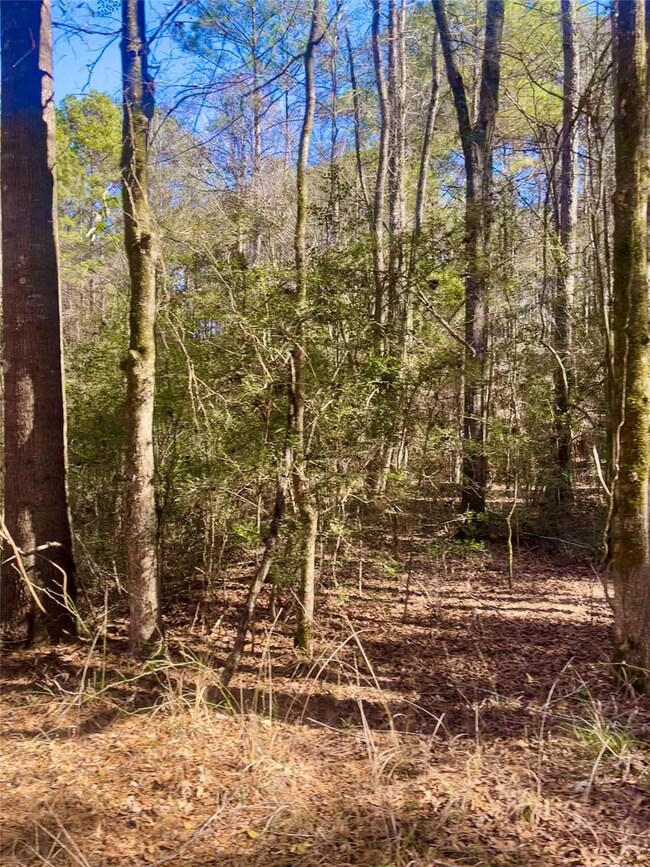 Great hunting