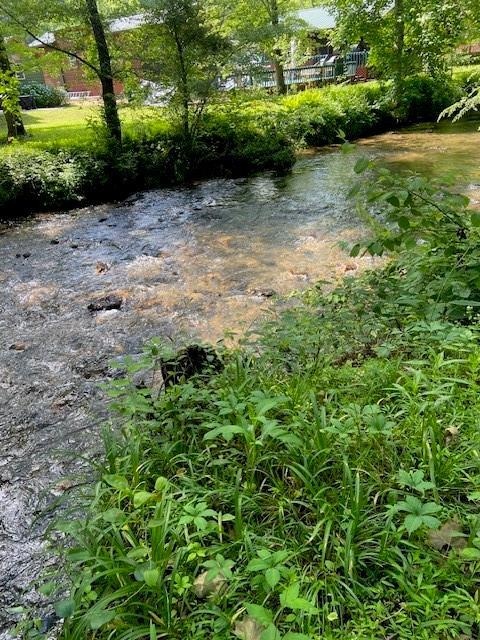 View of Creek