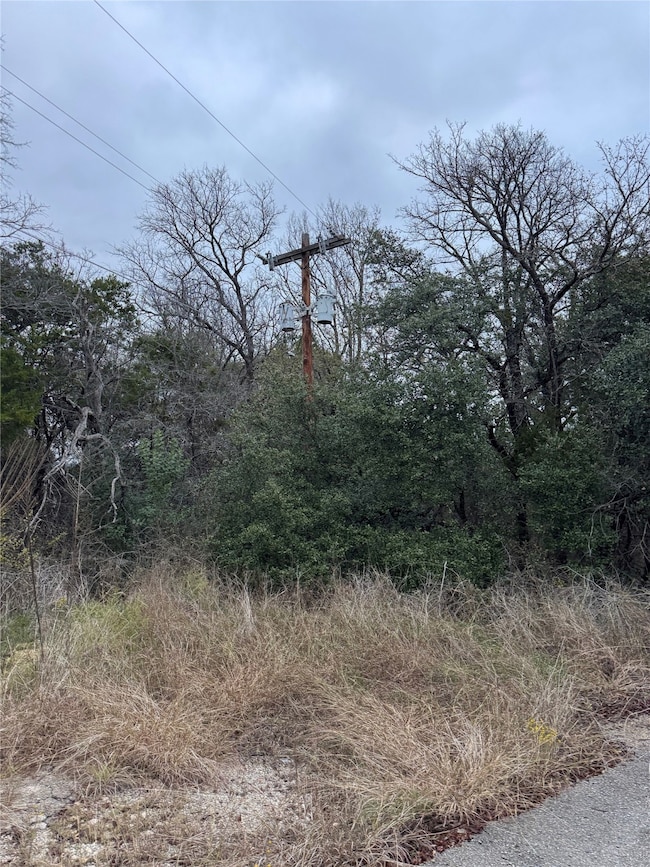 1013 Comanche Cove Dr, Granbury, TX 76048 - photo 3