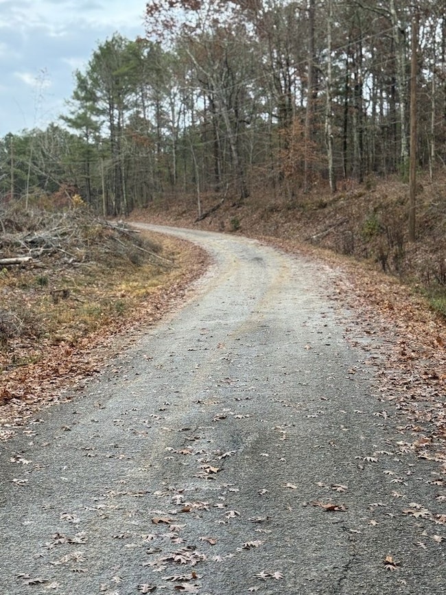 606 County Road 442, Oxford, MS 38655 - photo 4