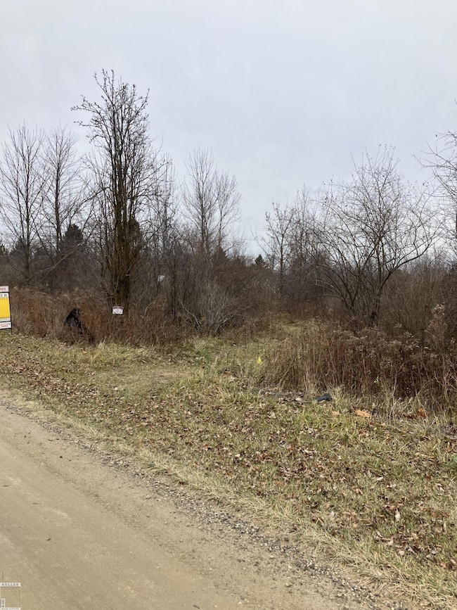 0 Minor Rd, Riley Township, MI 48041 - photo 2