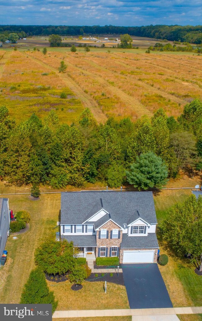 537 Brookfield Dr, Centreville, MD 21617 - photo 5