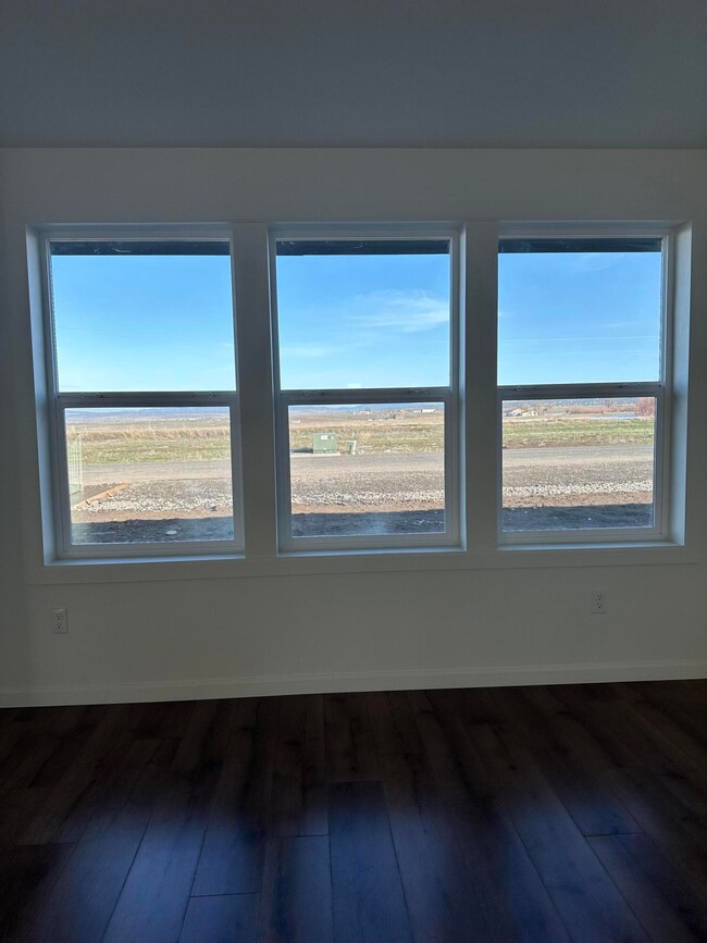 View out the front window