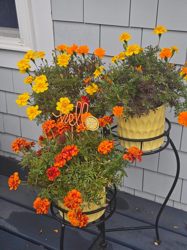 292 Route 28 unit 7, West Harwich, MA 02671 - photo 4