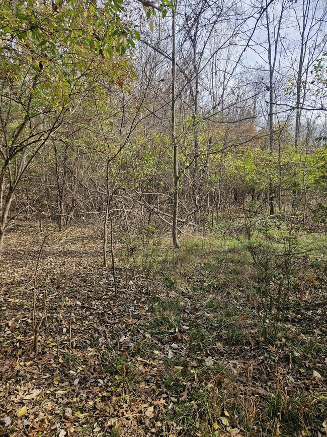 3714 Homeland Dr, Nashville, TN 37218 - photo 4