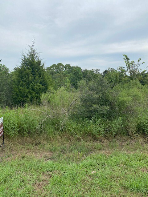 TBD Megan Dr, Fairchilds, TX 77461 - photo 6