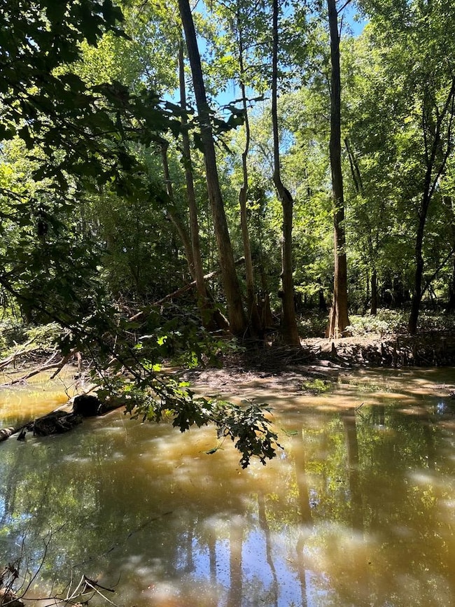 219 Chestnut Dr, Eastman, GA 31023 - photo 7