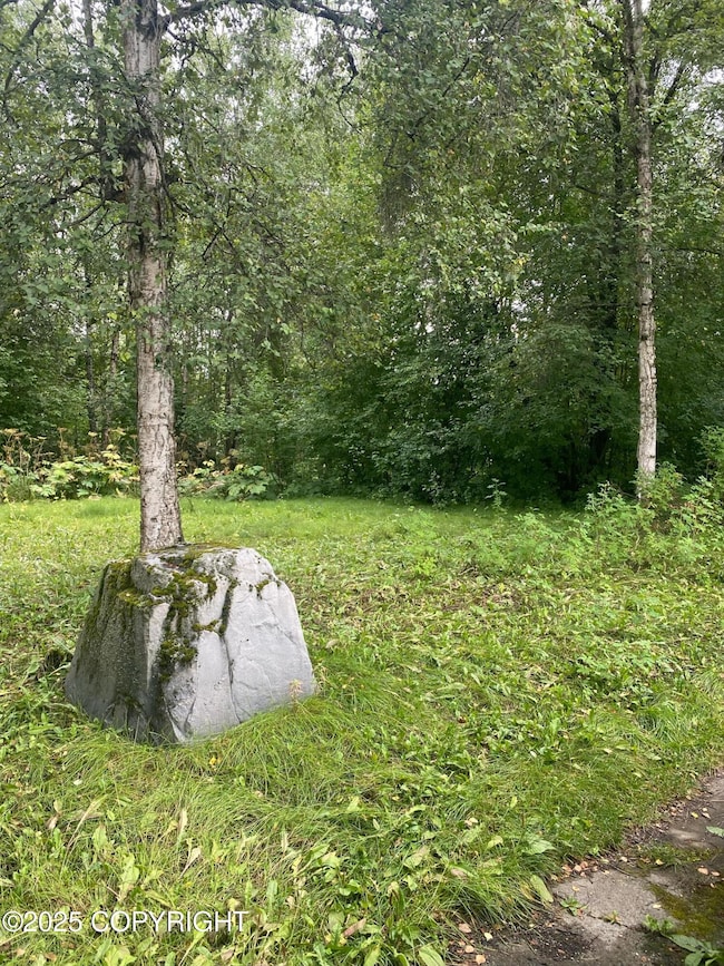 5545 Fairbanks St, Anchorage, AK 99518 - photo 3