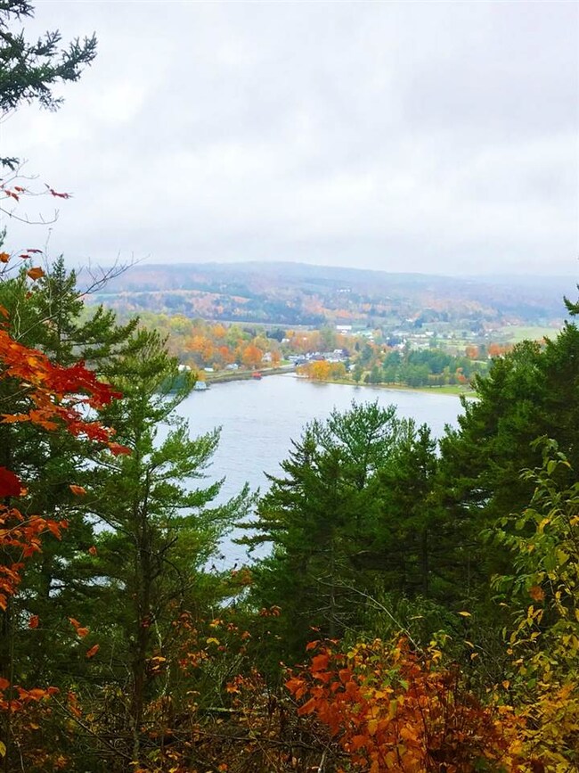 - Pageant Park Rd, Barton, VT 05822 - photo 5