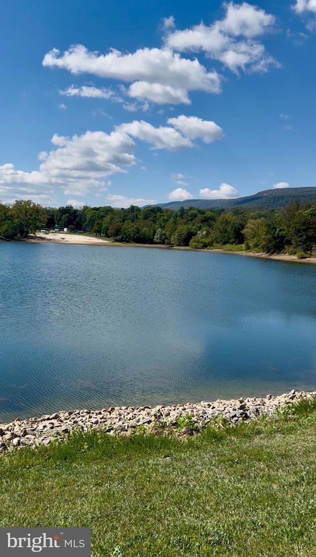 125 Cherokee Trail, Winchester, VA 22602 - photo 4