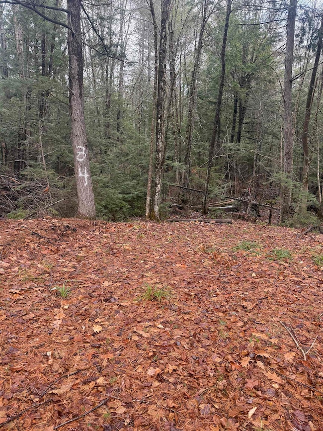 00 Partridge Hill Rd unit 17, Sandwich, NH 03227 - photo 2