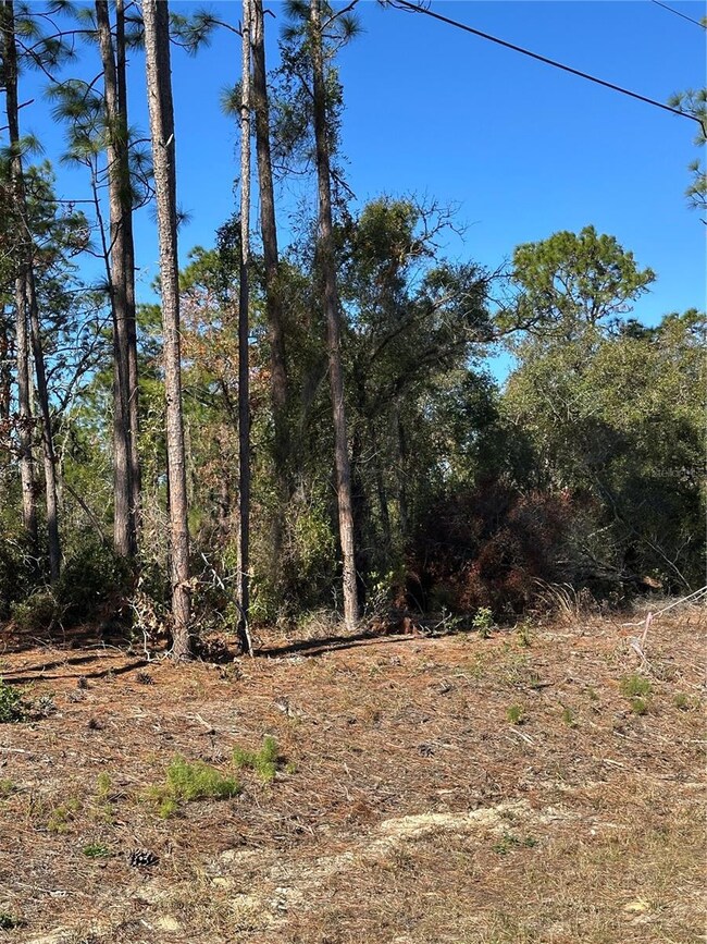 00 SW 209th Ave, Dunnellon, FL 34431 - photo 6