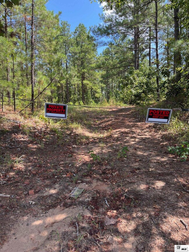 0 Bradford Rd, Choudrant, LA 71227 - photo 4