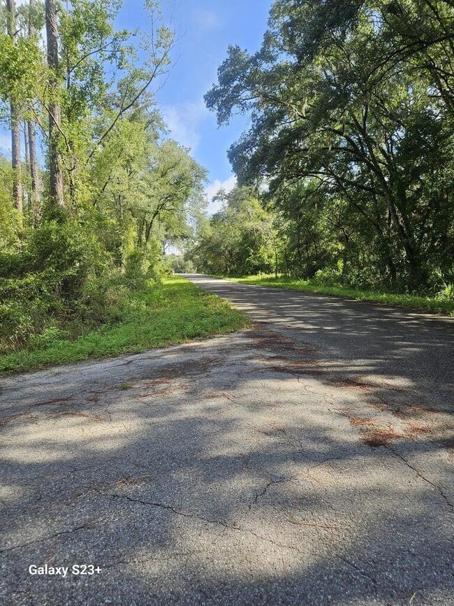 00 Upland Ave, Dunnellon, FL 34431 - photo 4