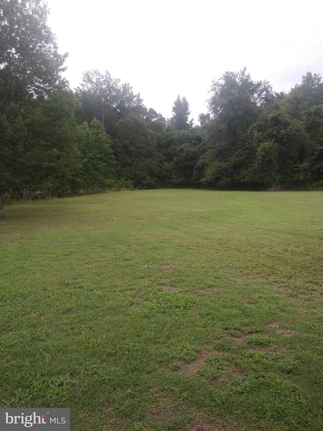 3637 Texas Rd, Bivalve, MD 21814 - photo 4