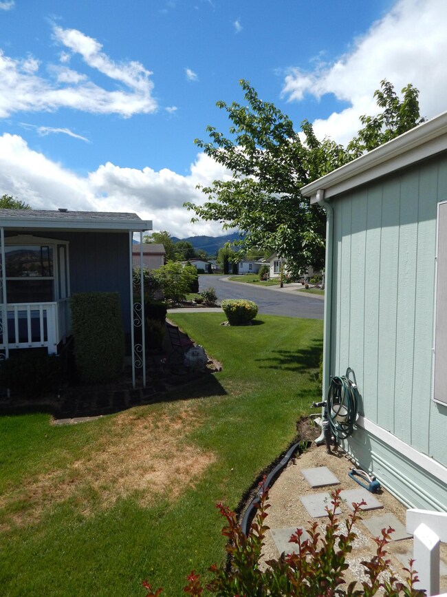 Views from the porch