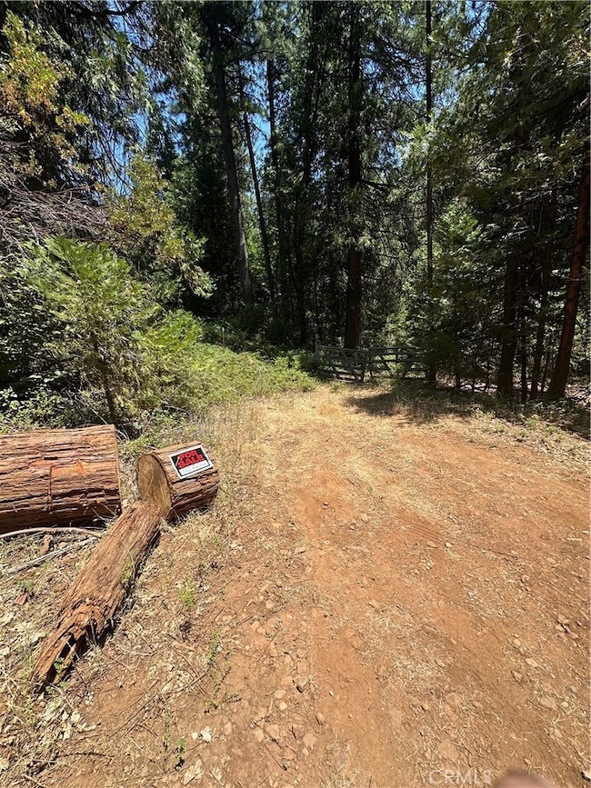 0 Slalom Ln unit OC25195031, Pollock Pines, CA 95726 - photo 5