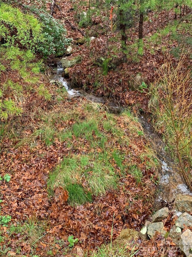 4110 French Broad Pkwy unit 55, 5, Walnut, NC 28753 - photo 4