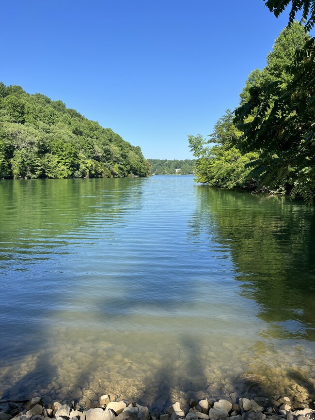 Photo of the Cove the property resides in