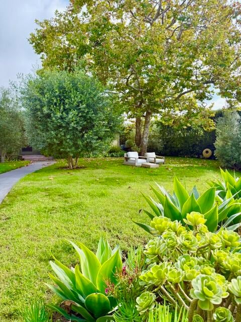 5510 Callejon, Carpinteria, CA 93013 - photo 4