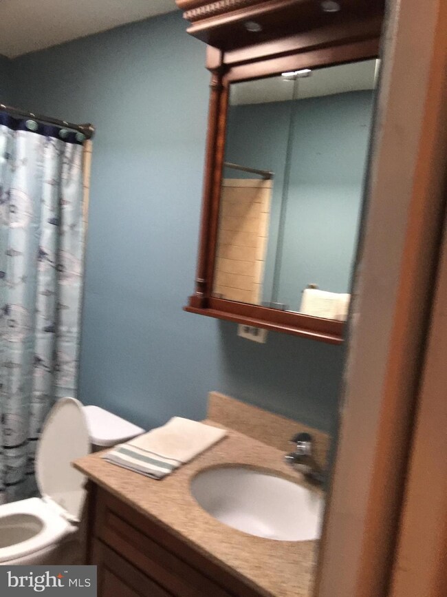 2440 Harriet Ave, Baltimore, MD 21230 - photo 5