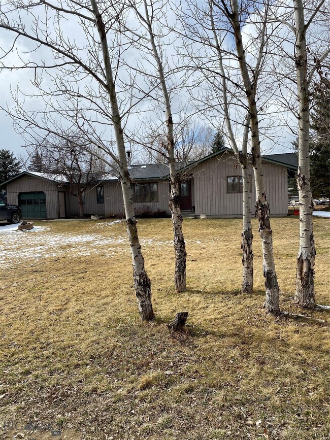 IMMENSE AMOUNT OF MATURE TREES
