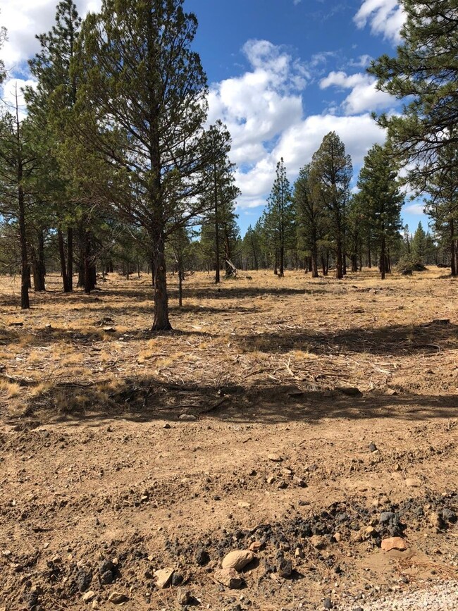 70338 Longhorn Dr, Sisters, OR 97759 - photo 4