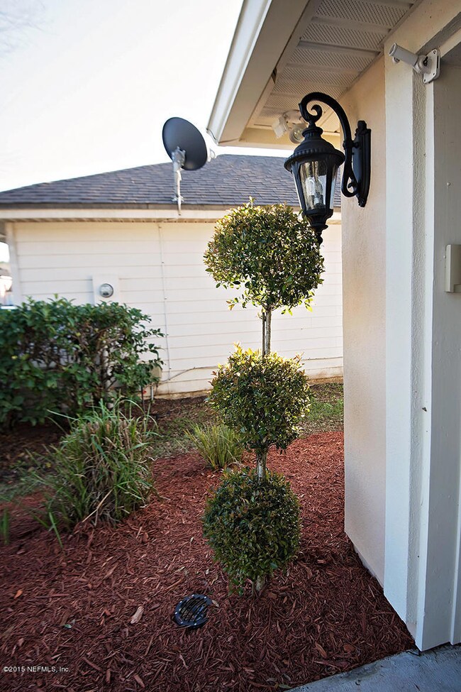 Front Light and Tree