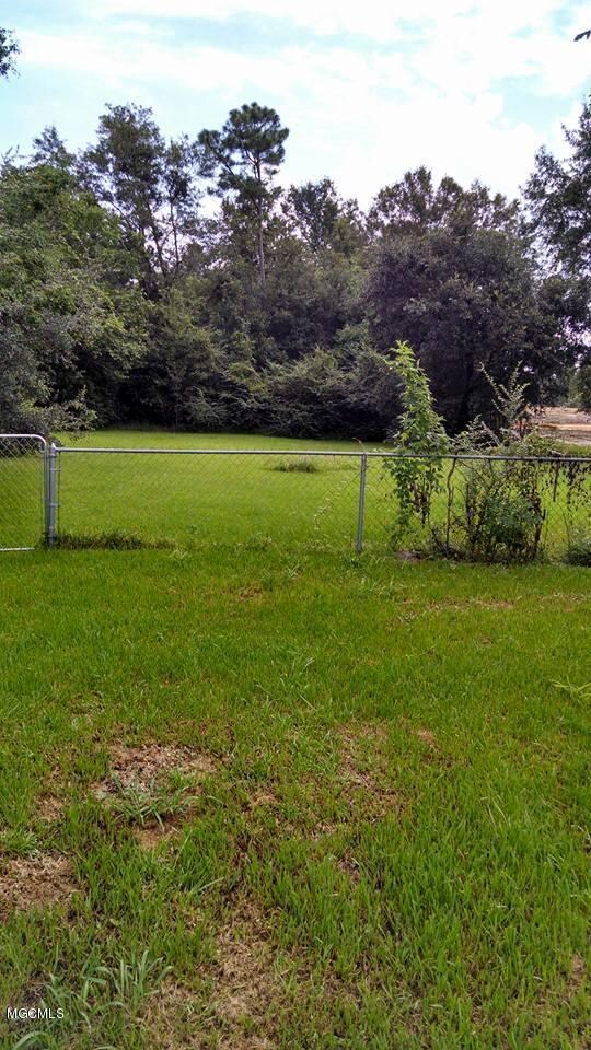 back yard
