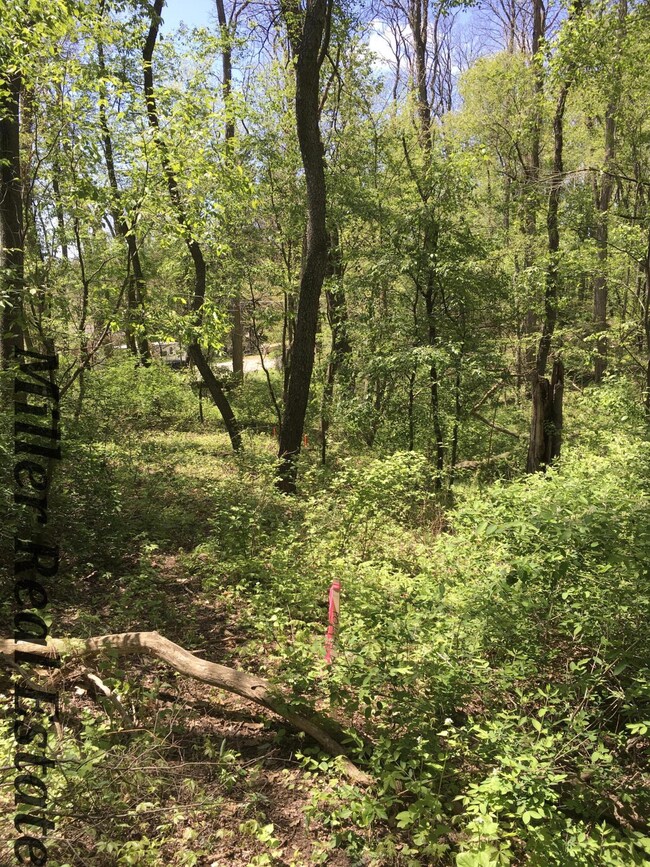 Iroquois Trail-4