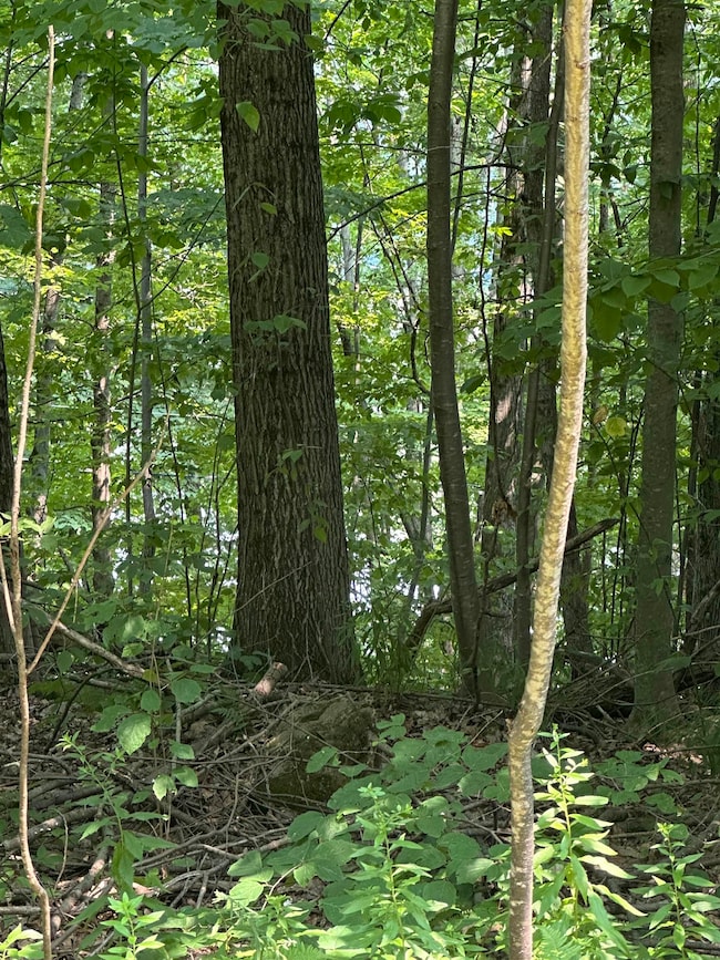 51 Crane View Dr, Salisbury, VT 05769 - photo 7