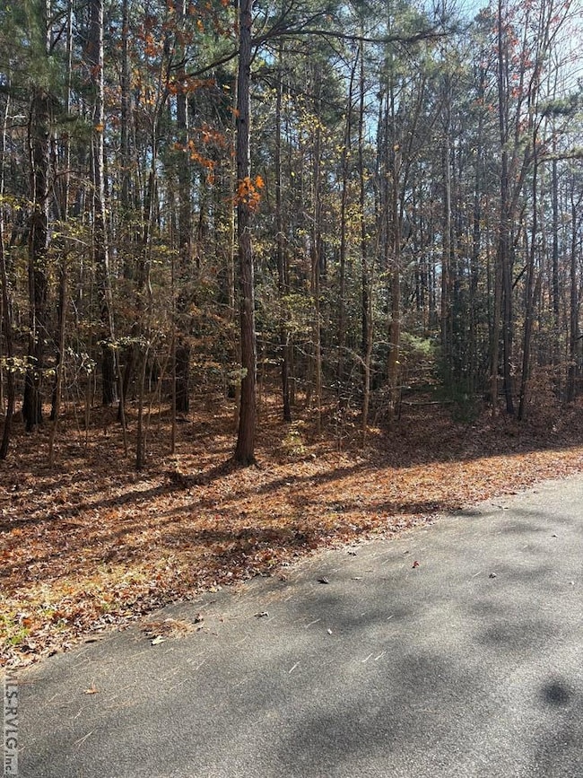 011, Bracey, VA 23919 - photo 3