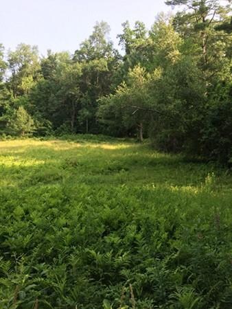 31 Newton Rd, Amesbury, MA 01913 - photo 3