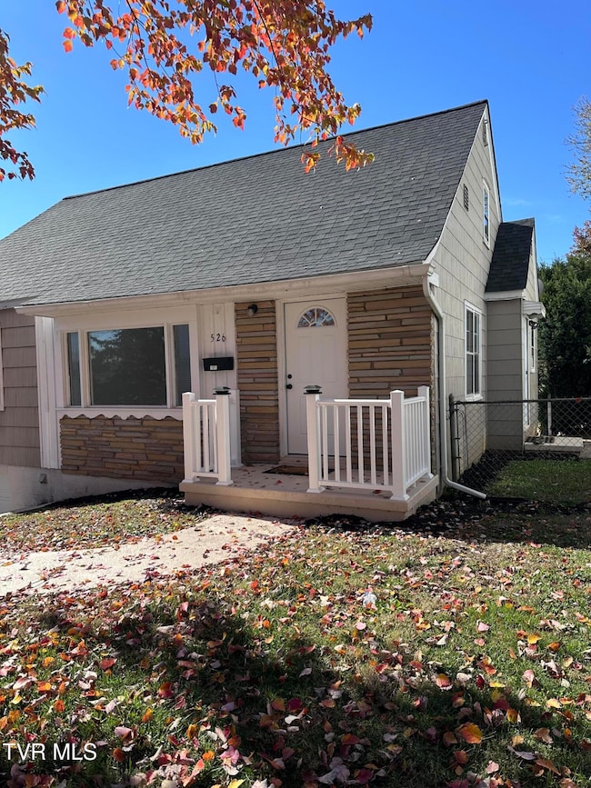 526 Mount Ida Place, Kingsport, TN 37660 - photo 4