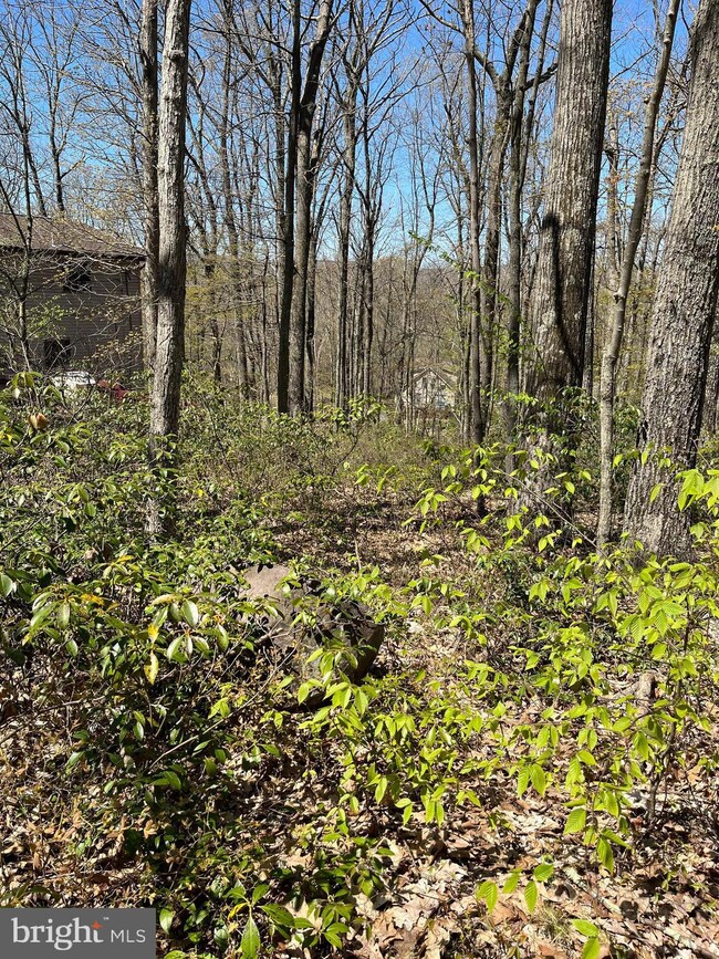 0 Tommys Ct, Drums, PA 18222 - photo 2