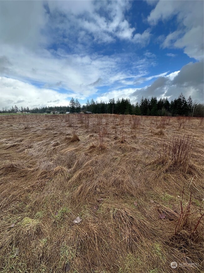 448 Meier Rd, Winlock, WA 98596 - photo 4